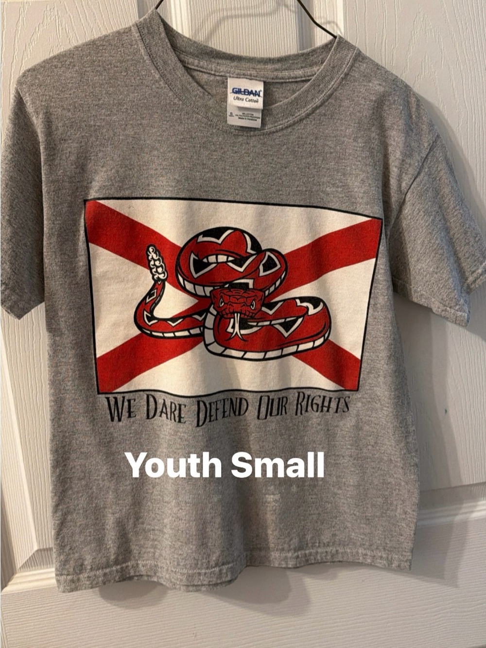Gildan Gray Kids Short-Sleeve Tee with Red Snake Graphic